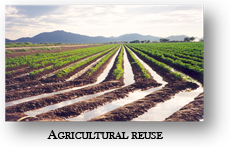 Agricultural Reuse
